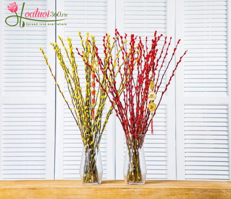 Cách cắm hoa nụ tầm xuân đẹp, đơn giản