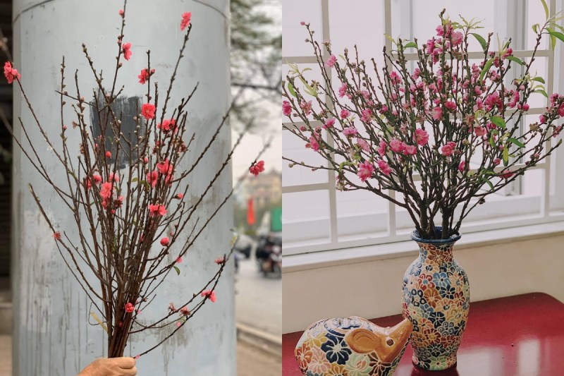 Cắm đào trong bình thấp, miệng rộng