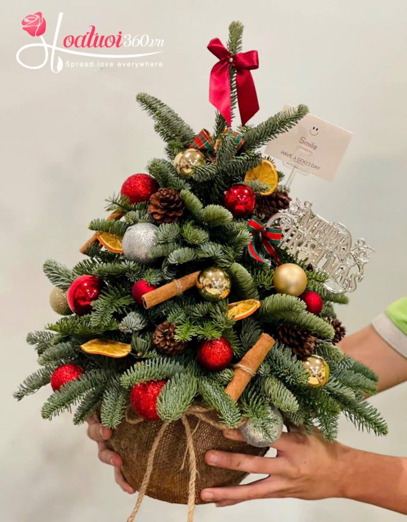 cây thông noel mini