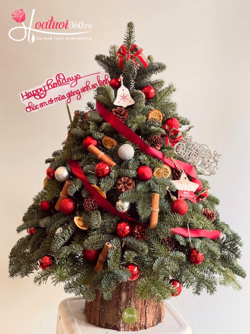cây thông noel hộp gỗ