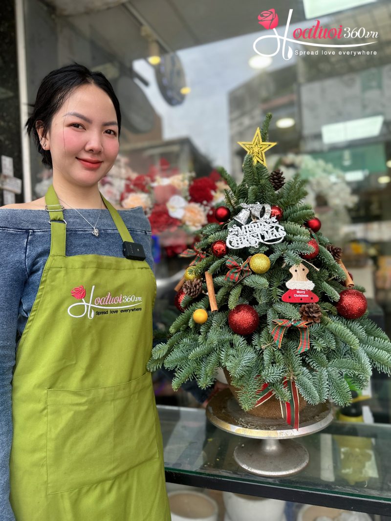 cây thông noel cho phòng nhỏ