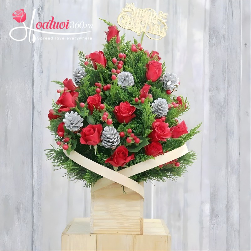 Cây tùng thơm mừng Giáng sinh