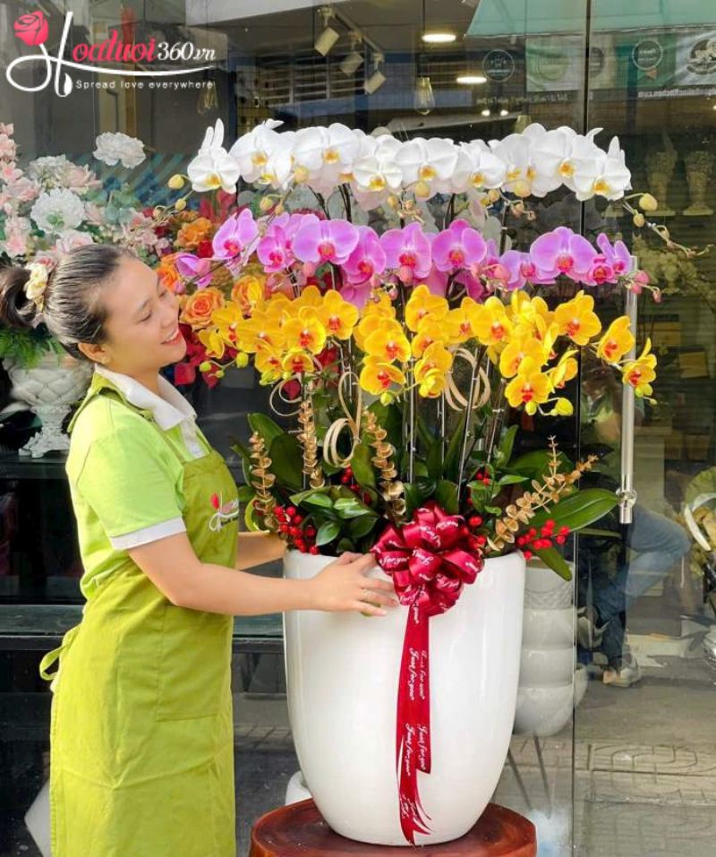 Chậu lan hồ điệp 3 tầng chúc mừng