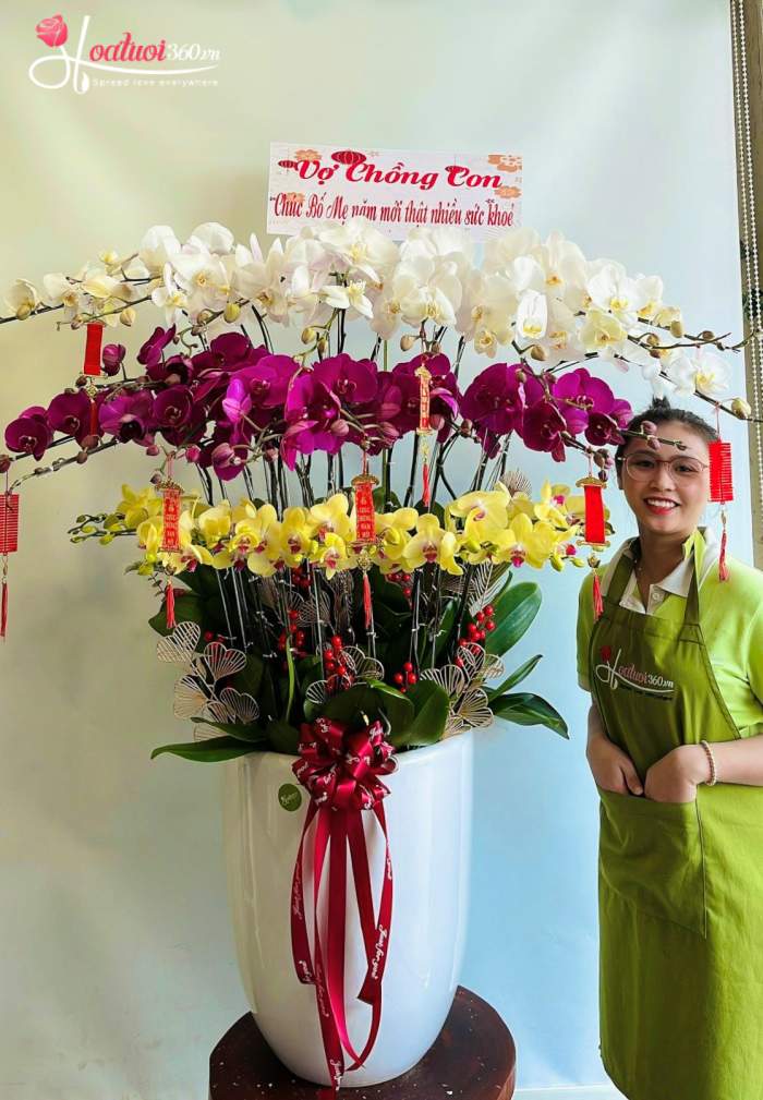 Chậu lan hồ điệp mix chưng ở phòng khách ngày Tết