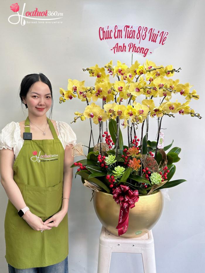 Chậu lan hồ điệp vàng mừng sinh nhật