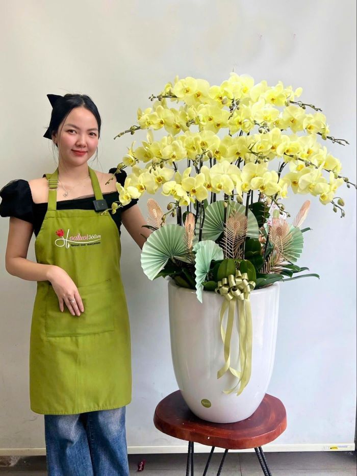 Chậu lan hồ điệp vàng kết hợp phụ kiện mừng khai trương công ty