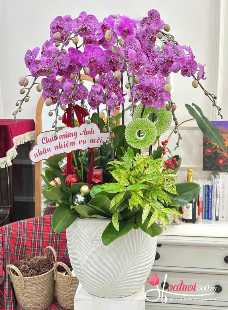 Chậu hoa lan tặng tất niên cuối năm
