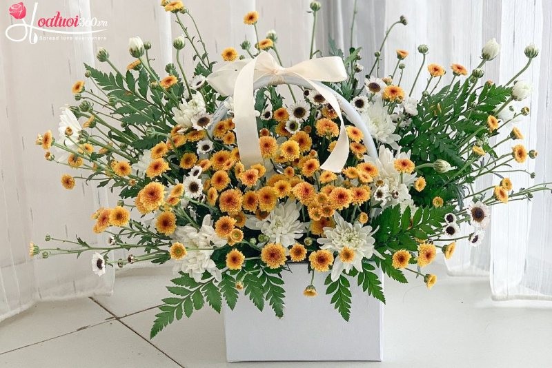 Giỏ cúc calimero vàng mừng khai trương