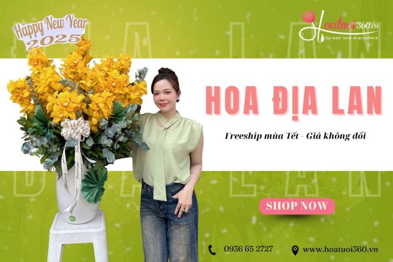 Địa chỉ bán hoa địa lan Tết đẹp, uy tín
