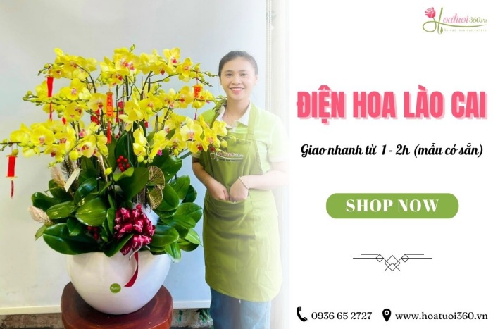 Dịch vụ điện hoa khu công nghiệp Lào Cai