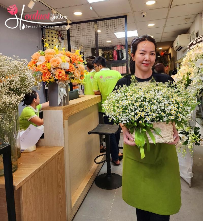 giỏ cúc tana khai trương