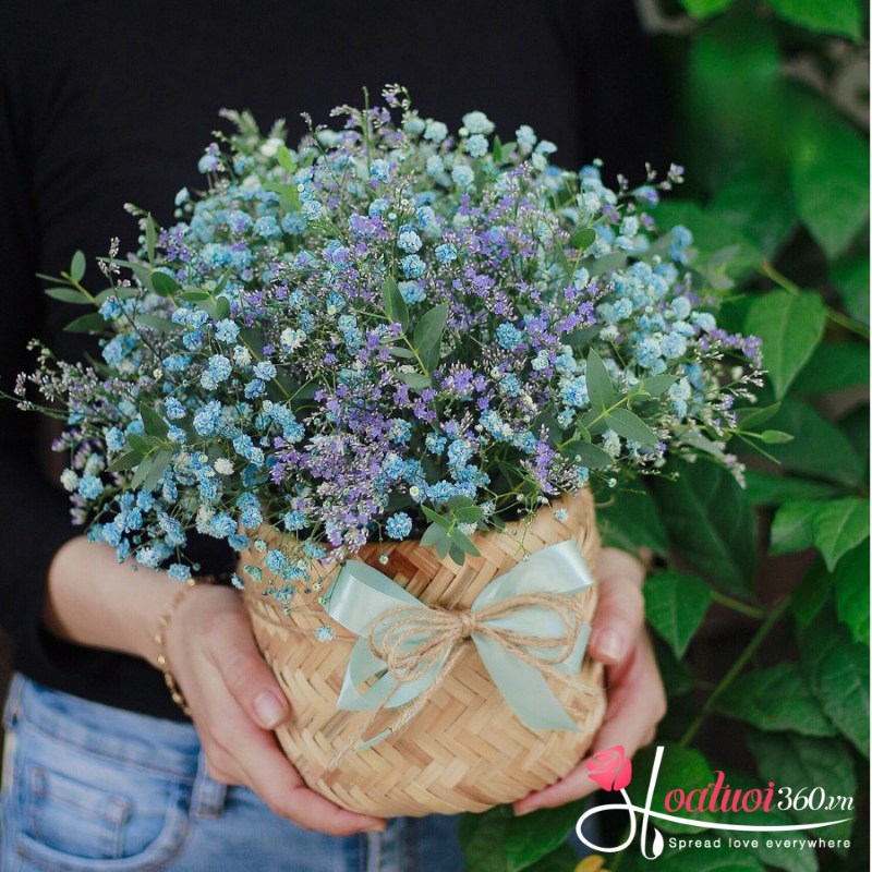 Giỏ hoa bi xanh mix tím tặng mẹ