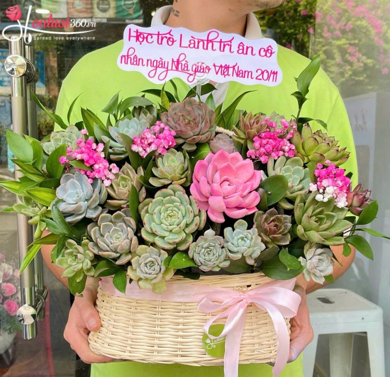 Giỏ sen đá chúc mừng