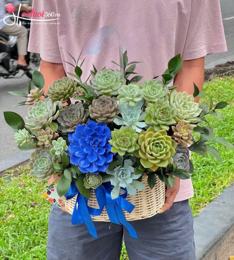 Giỏ hoa sen đá Vạn Sự Hanh Thông
