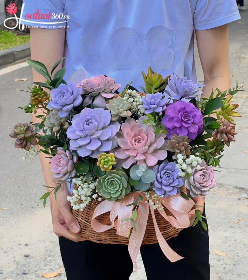 Giỏ sen đá Tổ Ấm Sum Vầy