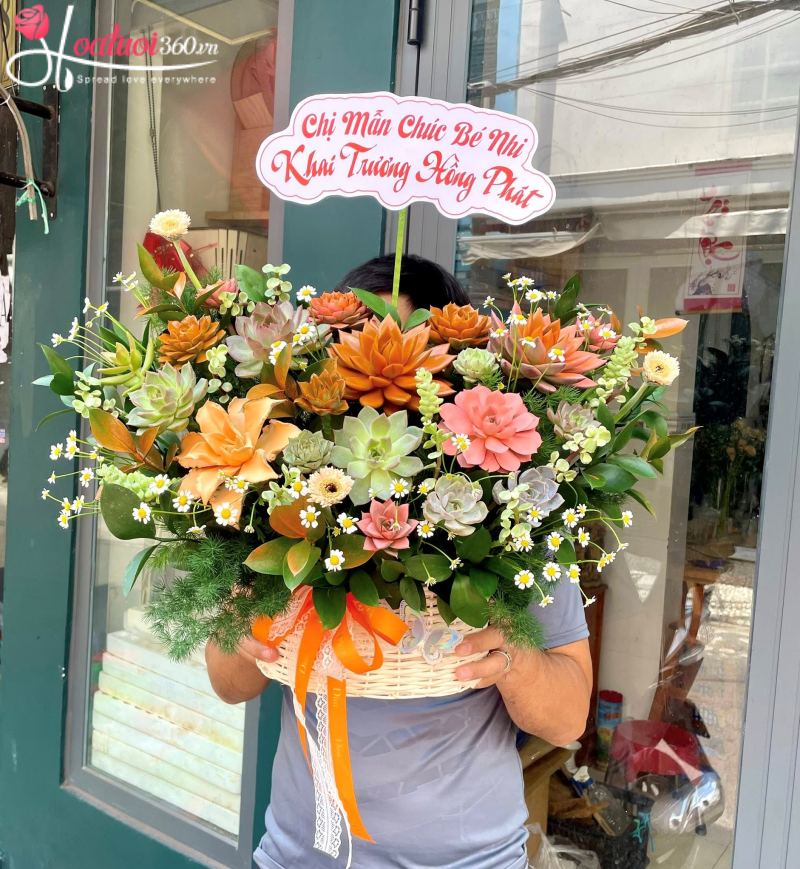 Giỏ sen đá Đại Triển Hồng Đồ