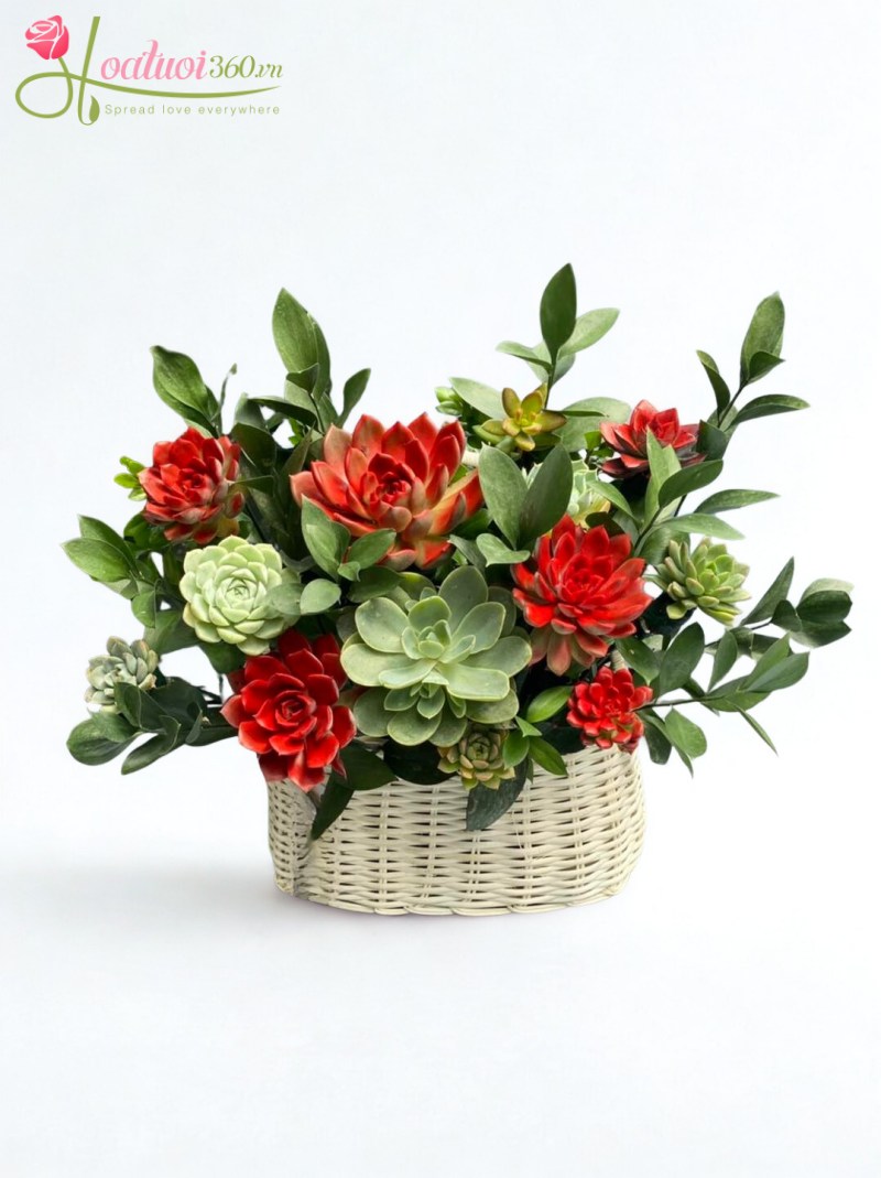 Giỏ hoa sen đá Nhiệt Huyết