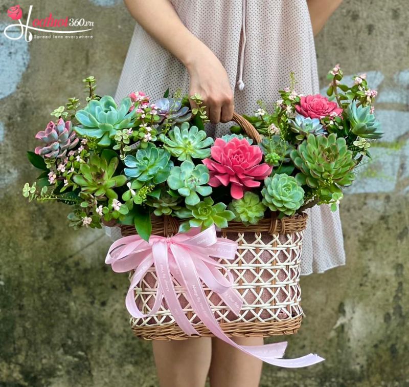 Giỏ hoa sen đá Khởi Nguồn Tương Lai