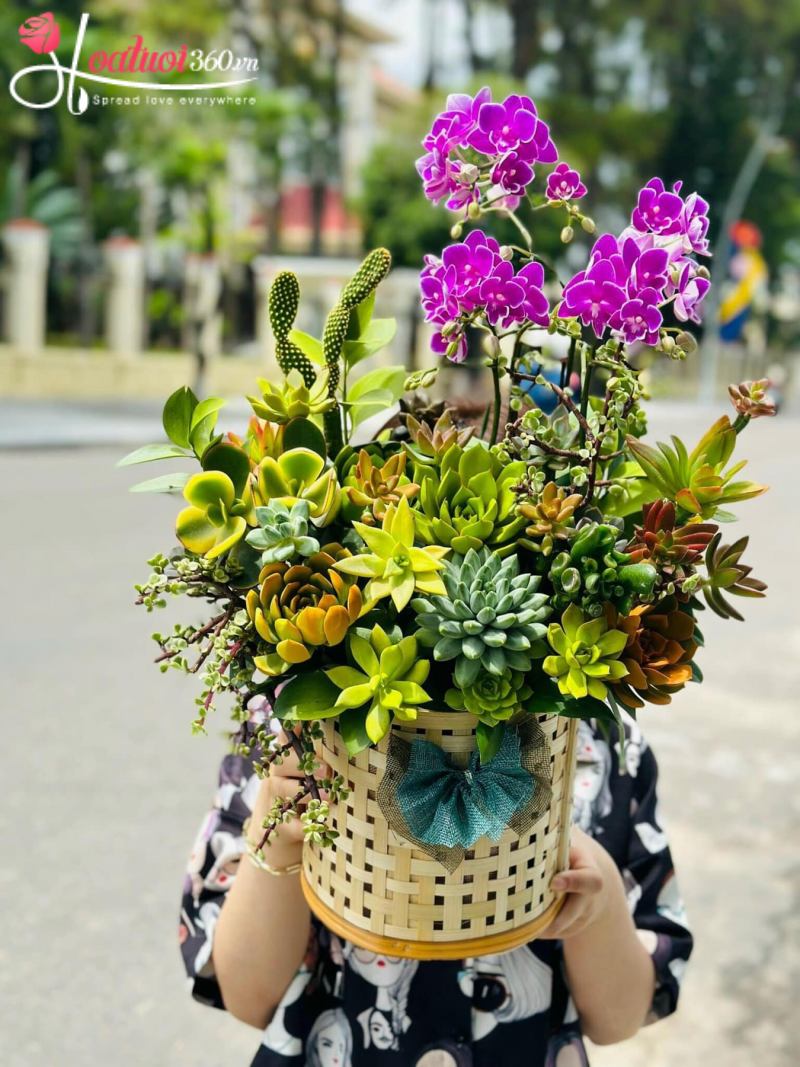 Giỏ sen đá Vươn Tầm Đẳng Cấp