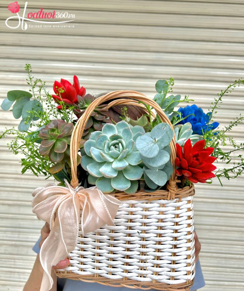 Giỏ sen đá Tri Ân Vàng
