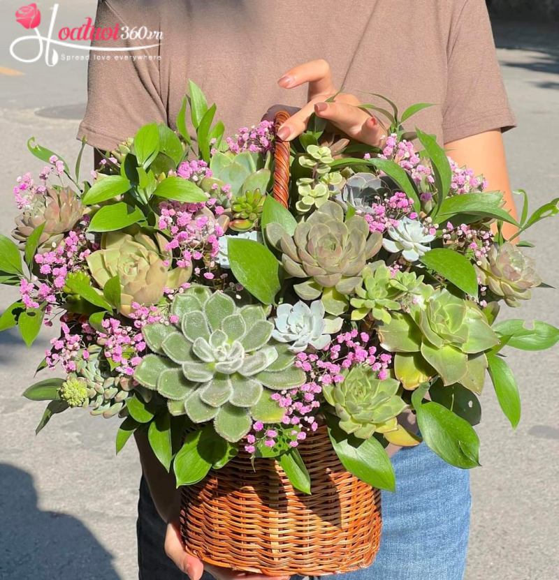 Giỏ sen đá Dấu Ấn Thành Công
