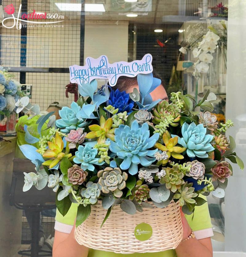 Giỏ hoa sen đá Just For You
