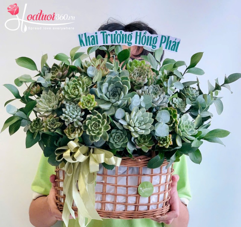 giỏ hoa sen đá khai trương