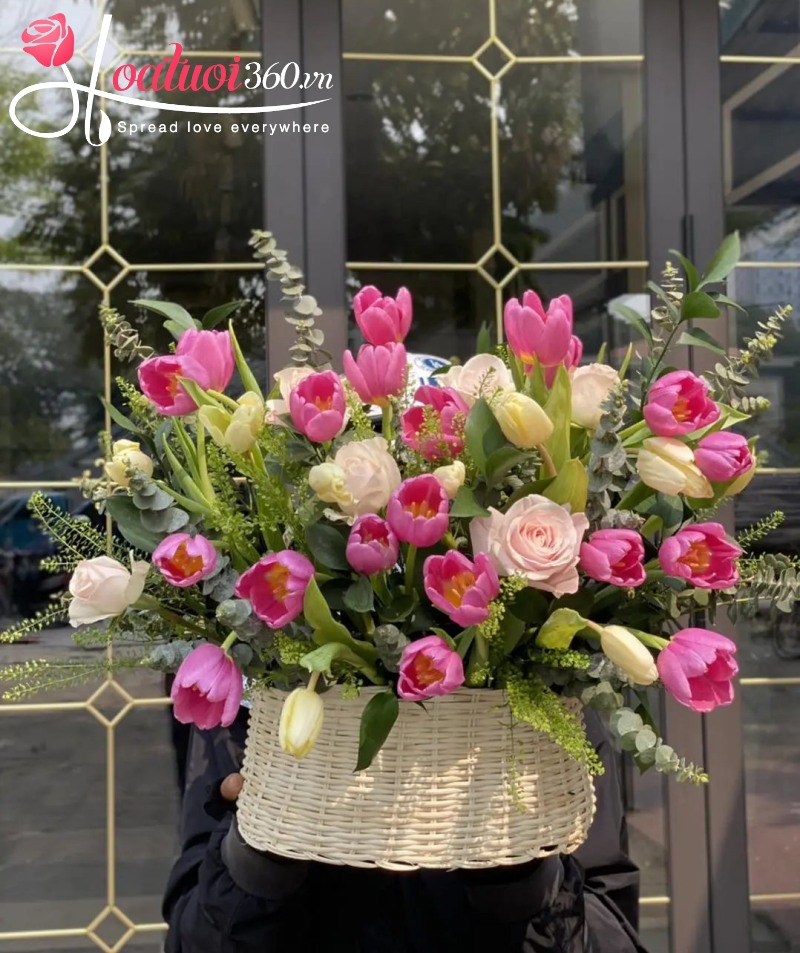 giỏ hoa tulip khai trương