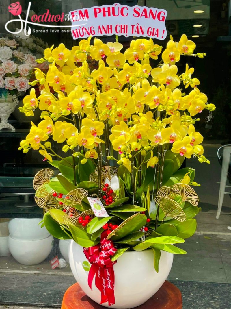 hoa chúc mừng tân gia