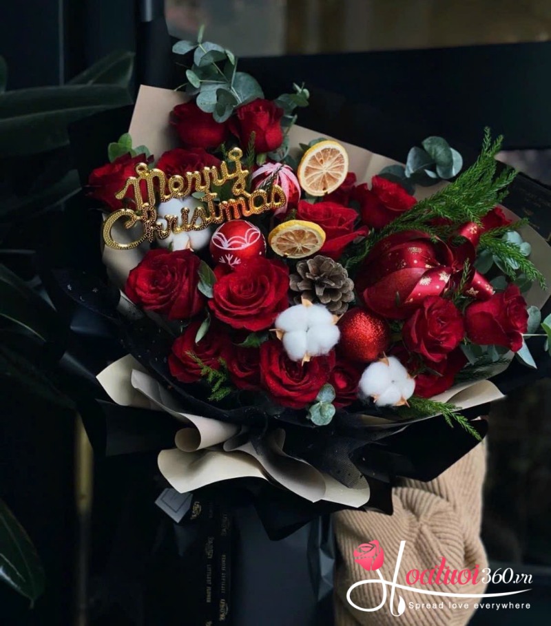 Hoa hồng giáng sinh