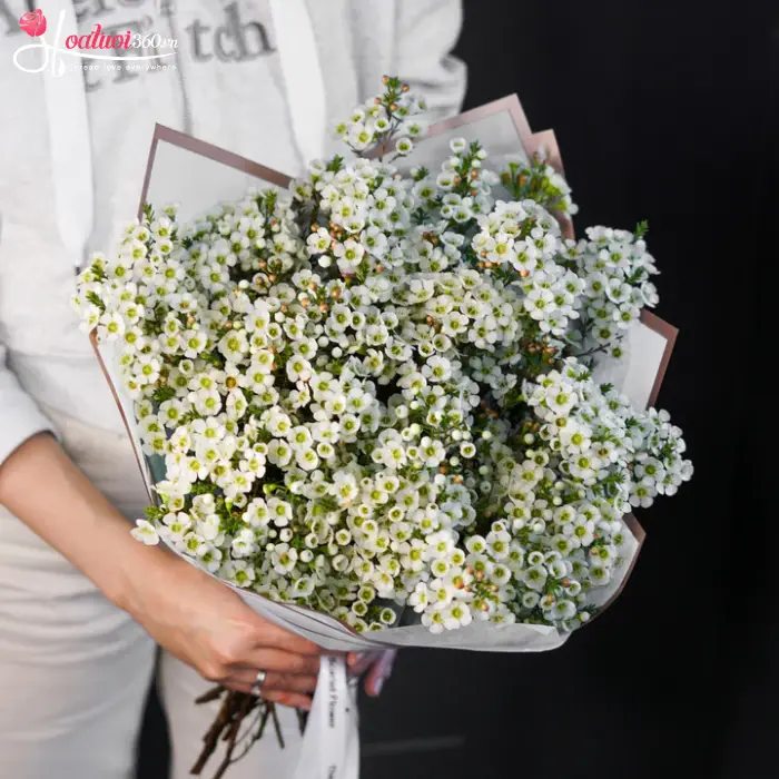 bó hoa tặng tình yêu hoa thanh liễu