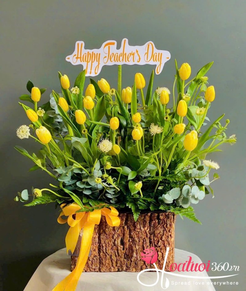 Chậu lan hồ điệp trắng tặng cô giáo, sếp nữ ngày 20/10
