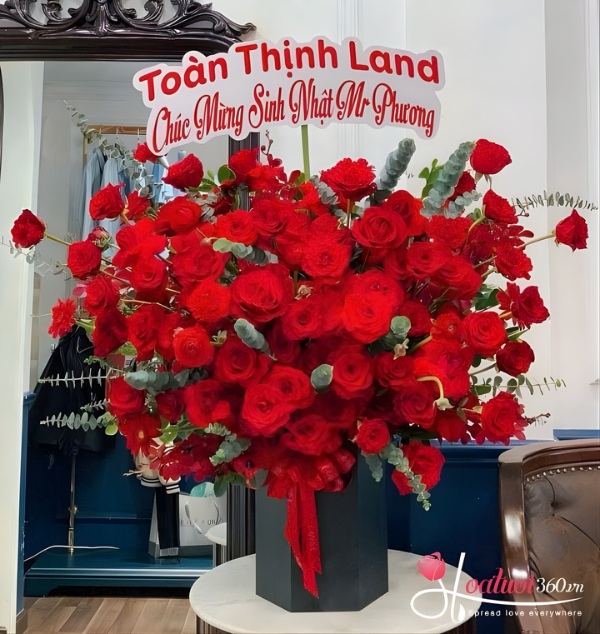 Hoa sinh nhật - Khoe sắc