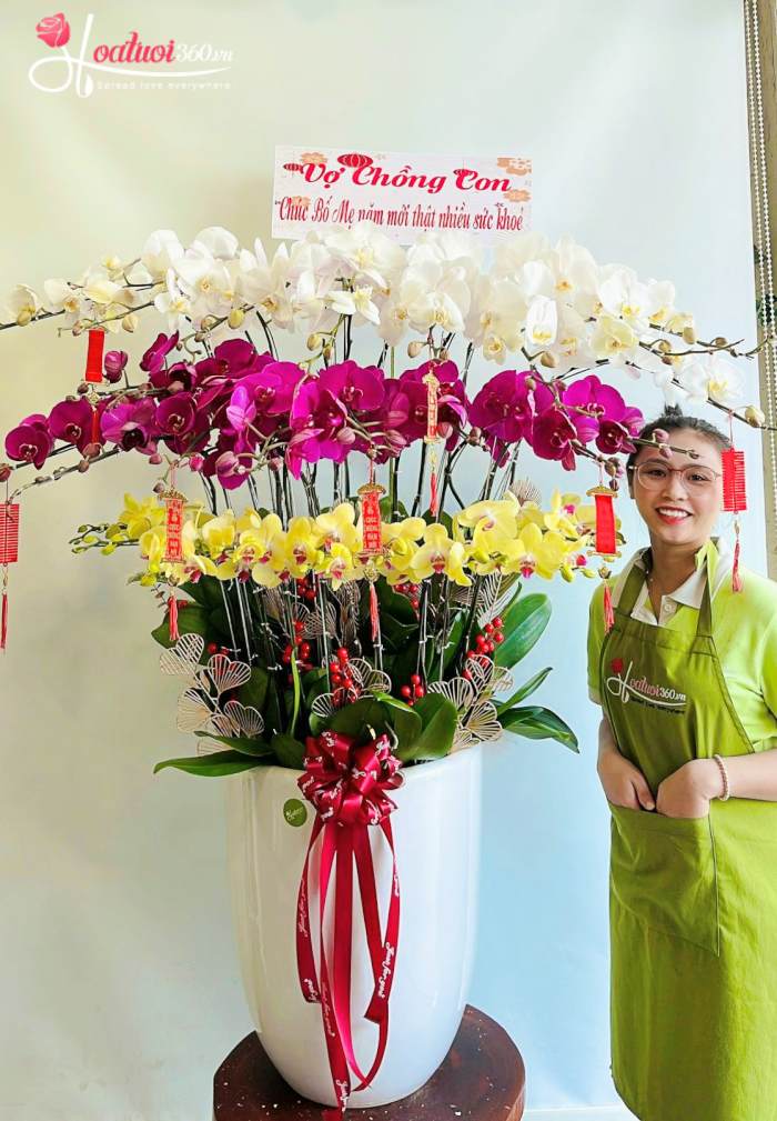 Cửa hàng bán lan hồ điệp giá rẻ quận 10