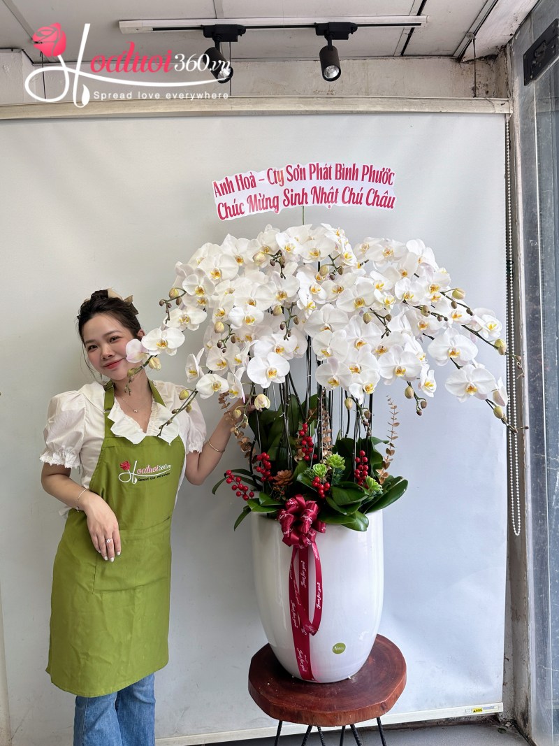 Chậu hoa lan hồ điệp trắng 7 - 15 cành