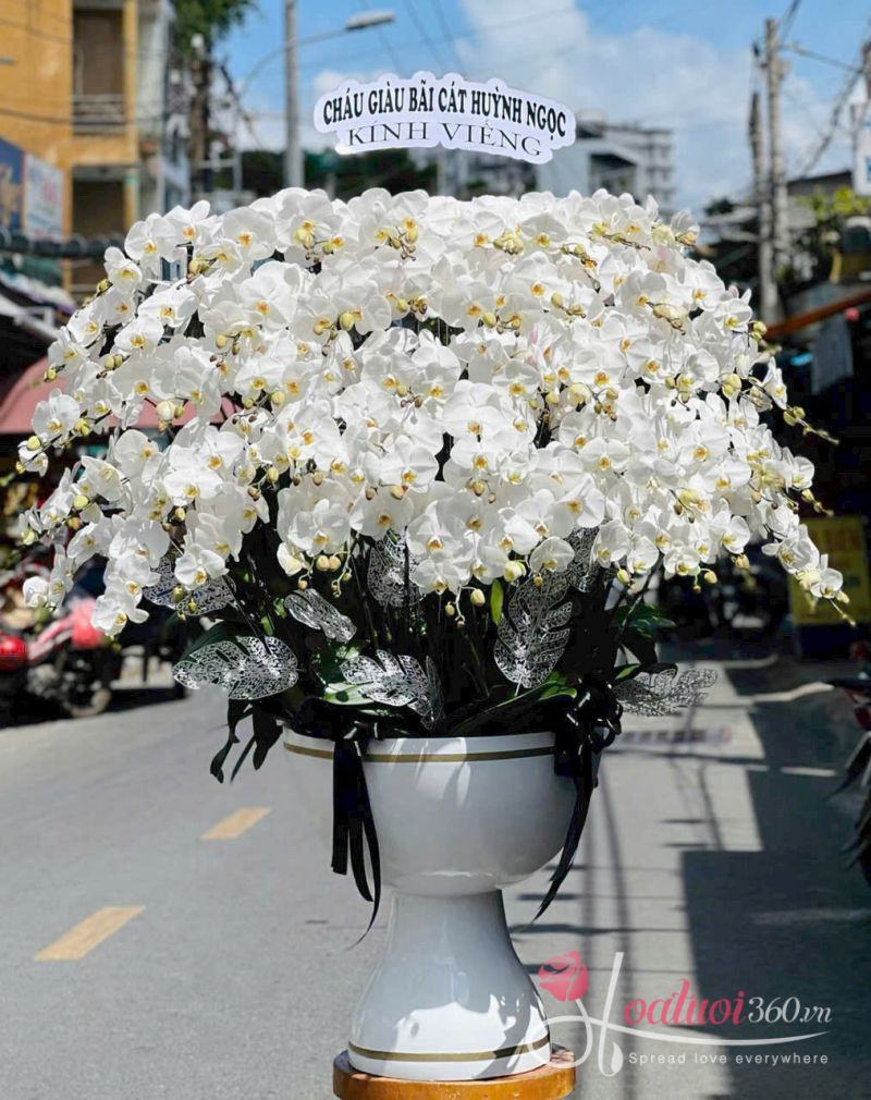 Chậu hoa lan hồ điệp trắng 99 cành