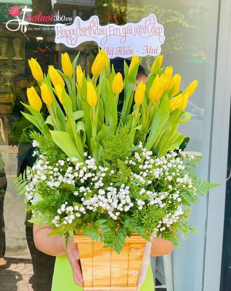 Lẵng hoa tulip vàng chúc mừng