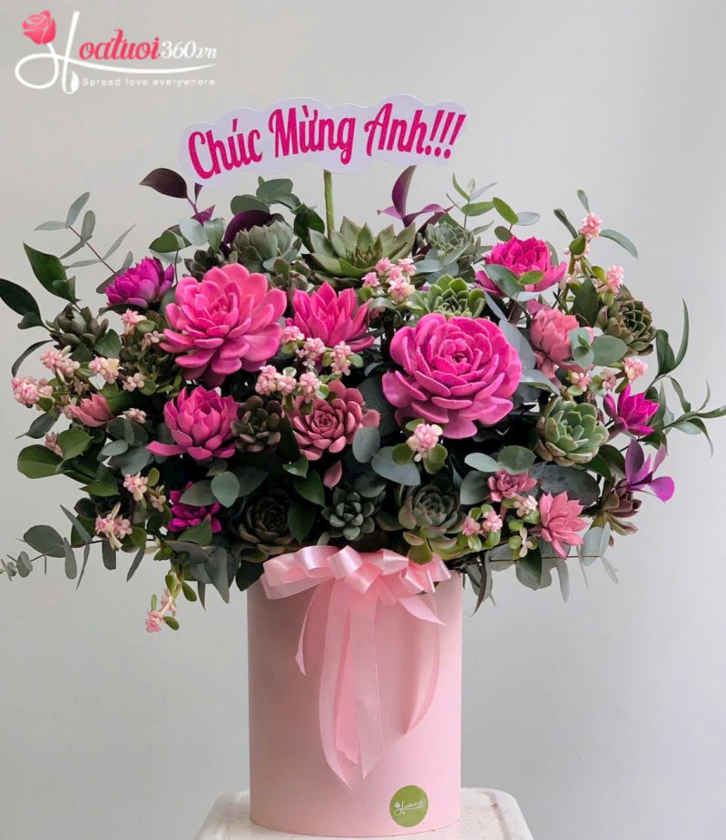 Lẵng hoa sen đá chúc mừng