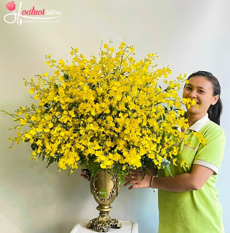 Lẵng hoa lan vũ nữ chúc mừng