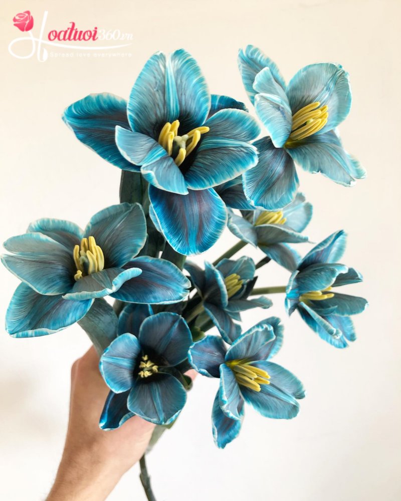 Lịch sử phát triển của hoa tulip xanh