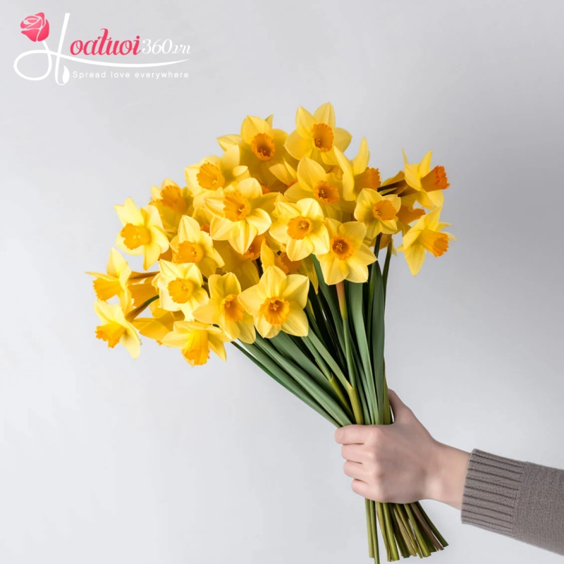 Hoa thuỷ tiên - loài hoa may mắn