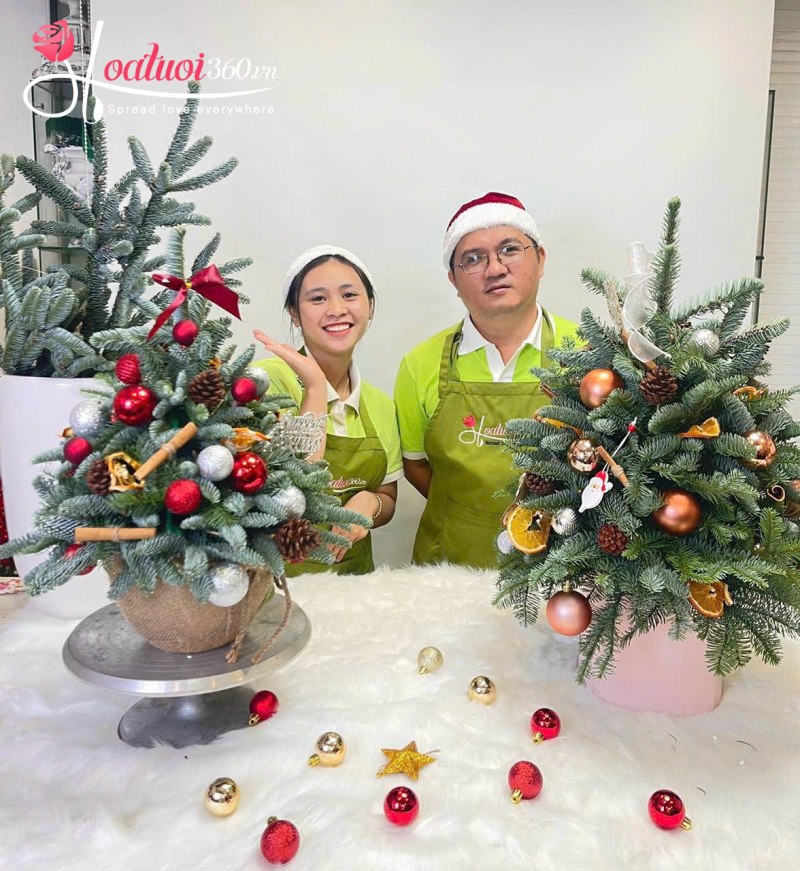 Mua hoa giáng sinh đẹp ở đâu tại TPHCM