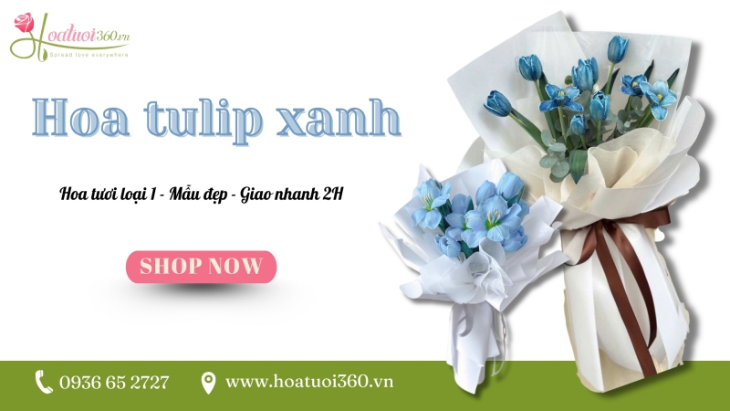 địa chỉ mua hoa tulip xanh đẹp, giá tốt 