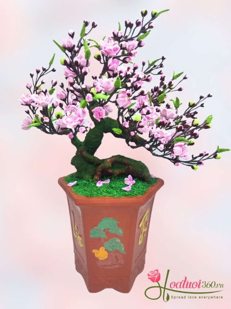 Nên mua đào cành hay đào cây để chơi Tết