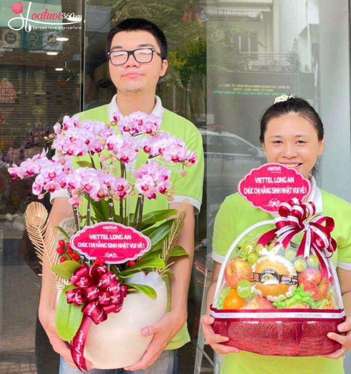 Shop bán hoa lan hồ điệp mini giá rẻ TPHCM