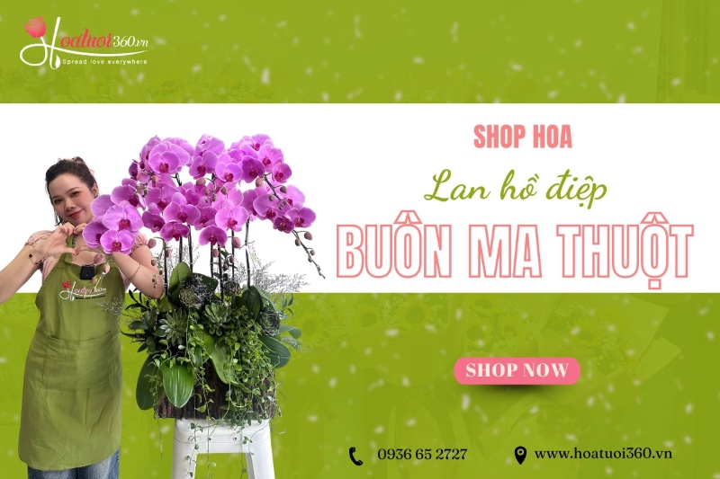 shop hoa lan hồ điệp buôn mê thuột phân phối lan chất lượng