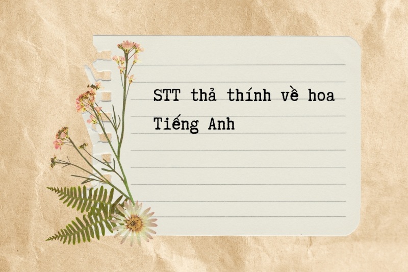 Mẫu stt thả thính về hoa bằng tiếng Anh 