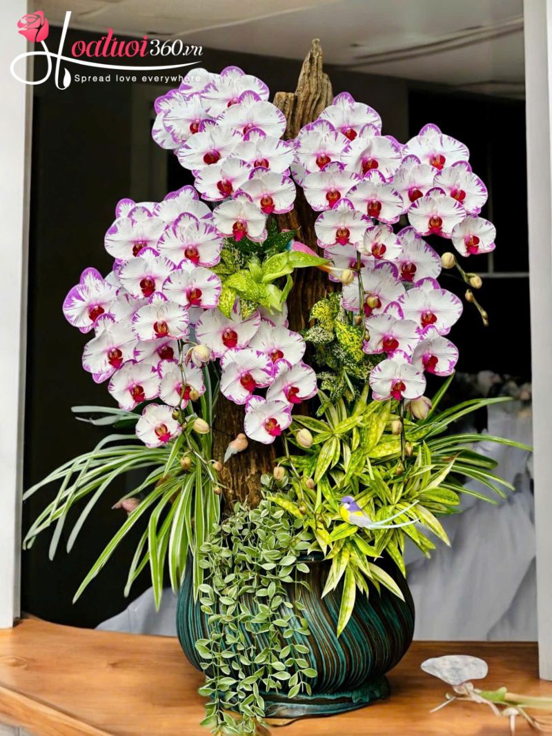 Ưu đãi hấp dẫn khi đặt mua tại tiệm hoa Cao Bằng 