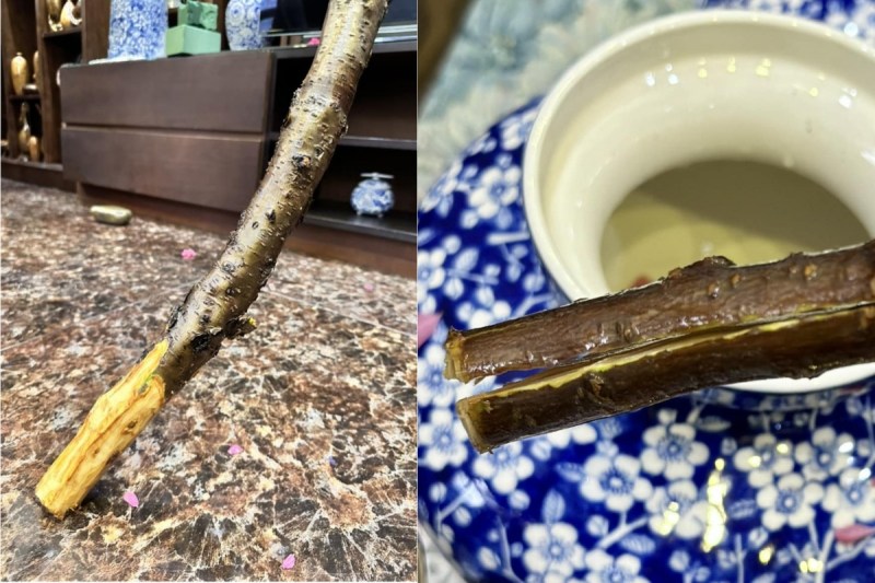 Xử lý cành đào trước khi cắm