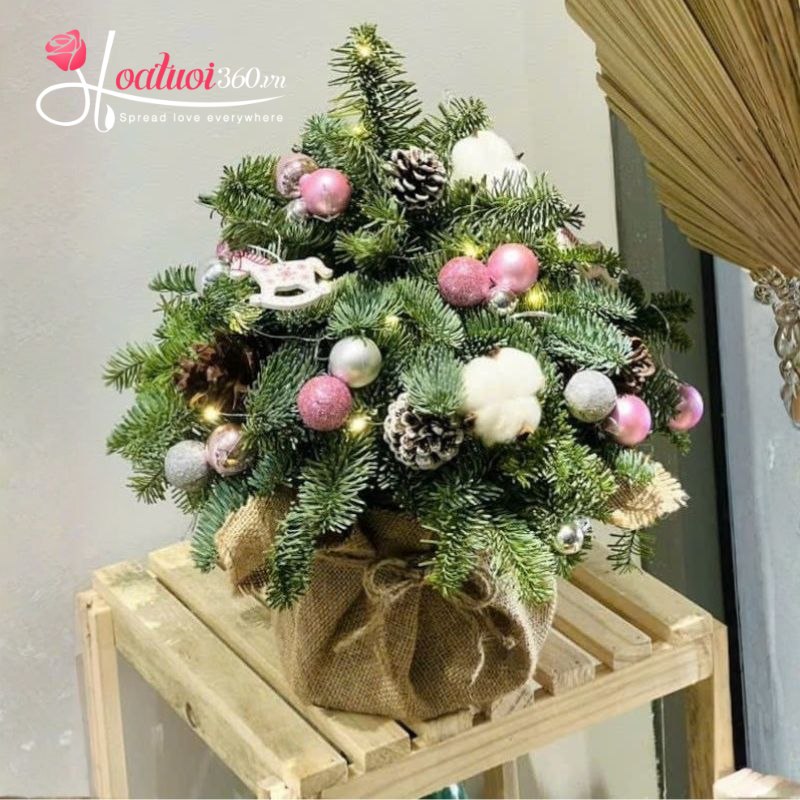 Ý nghĩa của ngày Giáng sinh & văn hoá tặng hoa